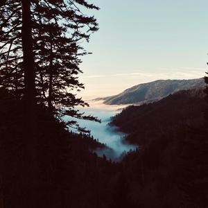 the Proverbs 31 girl (feat. Tylan1k)