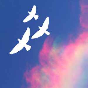 诗意的周四通勤节奏