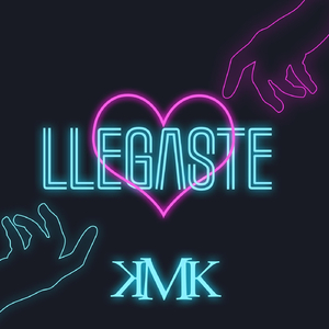 Llegaste