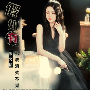 假如有一天我消失不见