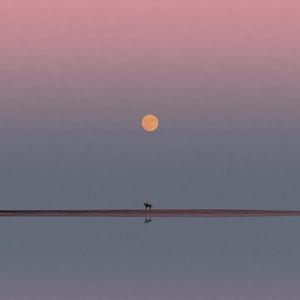 心若向阳，无畏悲伤-整曲