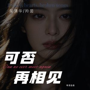 可否再相见(DJ版)