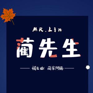 蔺先生（Demo）