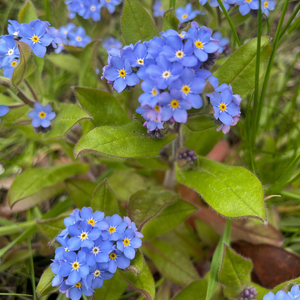 Hope There Is Someone