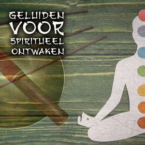 Boeddhistische Meditatie