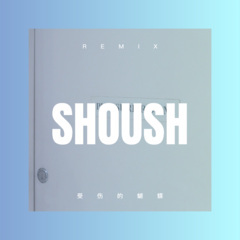 痴情犯的错 (DJ版)