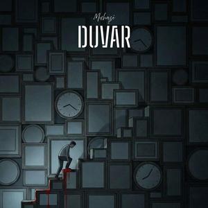 Duvar