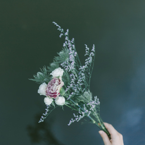 花の名前を忘れたそよ風