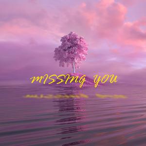 Missing you (prod. by Freeboy_YAN*)