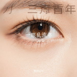一眼乱流年