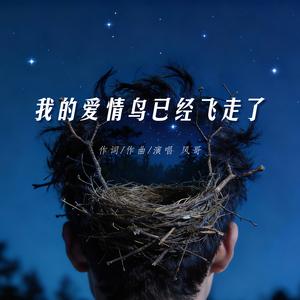我的爱情鸟已经飞走了