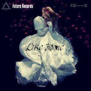 Nicky Romero-Like Home（RealBrik remix）