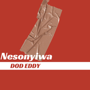 Nesonyiwa