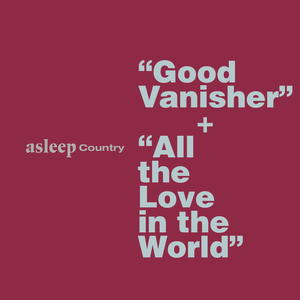 Good Vanisher