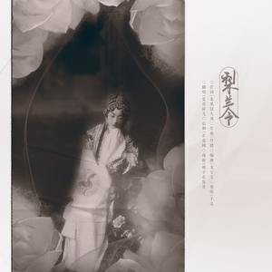 梨兰令.记梅兰芳（翻自 千是）