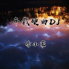 大叔很拽 (DJ版)
