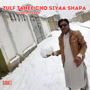 Zulfan Wathee Masheen Gain