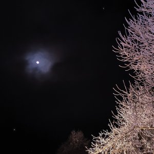 已知月亮不会告白，雾慢了风景，求星星眨眼频率