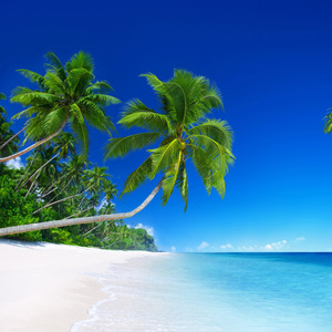 Erfolgreiche Anstrengung