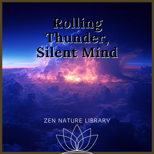 Thunder Therapy Sound