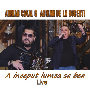 A inceput lumea sa bea (Live)