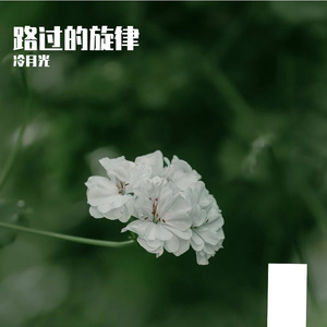 你是我留不住的风