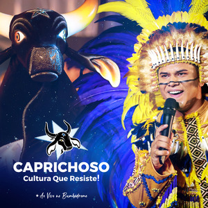 Festa da Ilha Encantada / Emoção Infinita / Dançando Com a Marujada / Ritmo Quente (Ao Vivo)