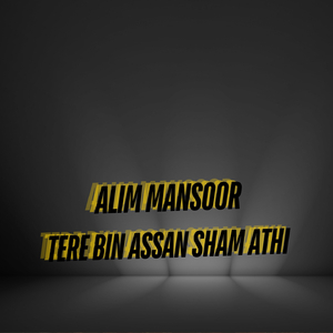 Tere Bin Assan Sham Athi