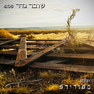 שובר גדר