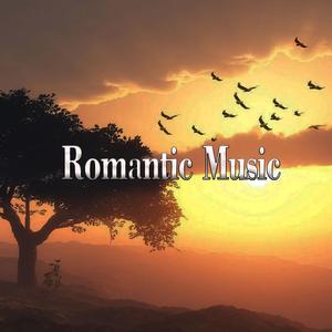 Nordisle Bois Orchectra Adoro