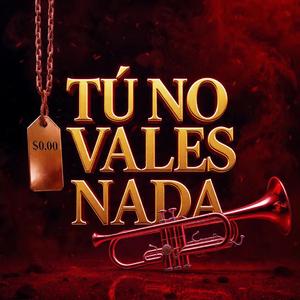 Tu No Vales Nada
