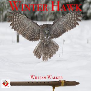Winter Hawk