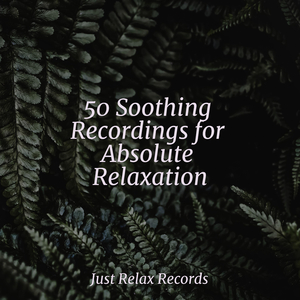 Enveloped in Ethereal Splendor