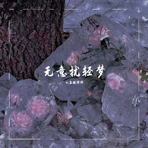 小感
