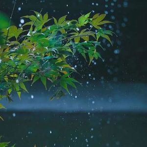 夜雨声-DJ余良版 伴奏