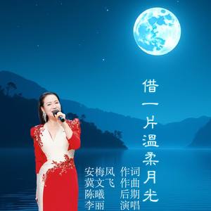 借一片温柔月光
