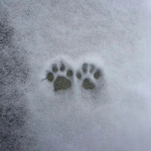 what is luv (prod.envy1uv)