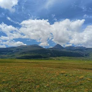 耗牛背上的星星