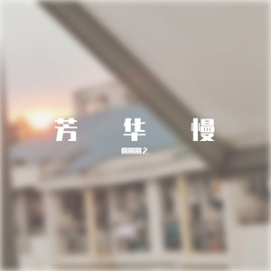芳华慢