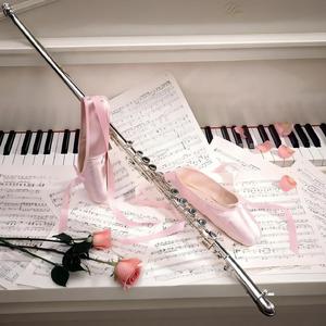 电梯（儿歌多多外国儿歌大全）