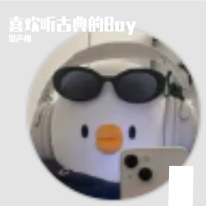 喜欢听古典的Boy-整曲