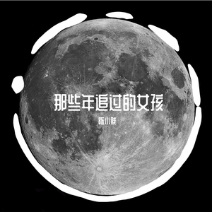 那些年（纯音乐多乐器）