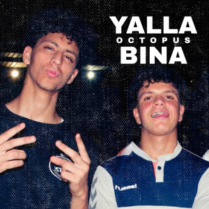 Octopus Yalla bina