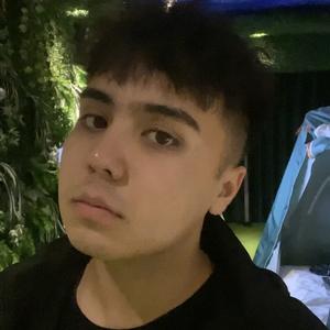 Agarhayat（翻自 木拉丁·买合木提）