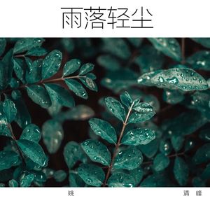 雨落轻尘