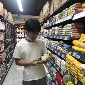 千百顺-很任性