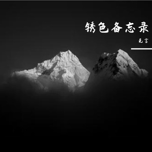 蕨类植物的晨光