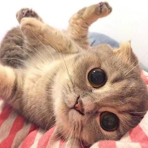 雨人(粤语版）（翻自 刘畅）