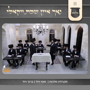 נאך איין שבת (ווקאלי)