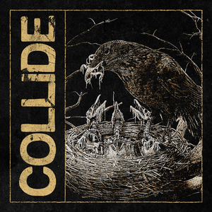 Collide